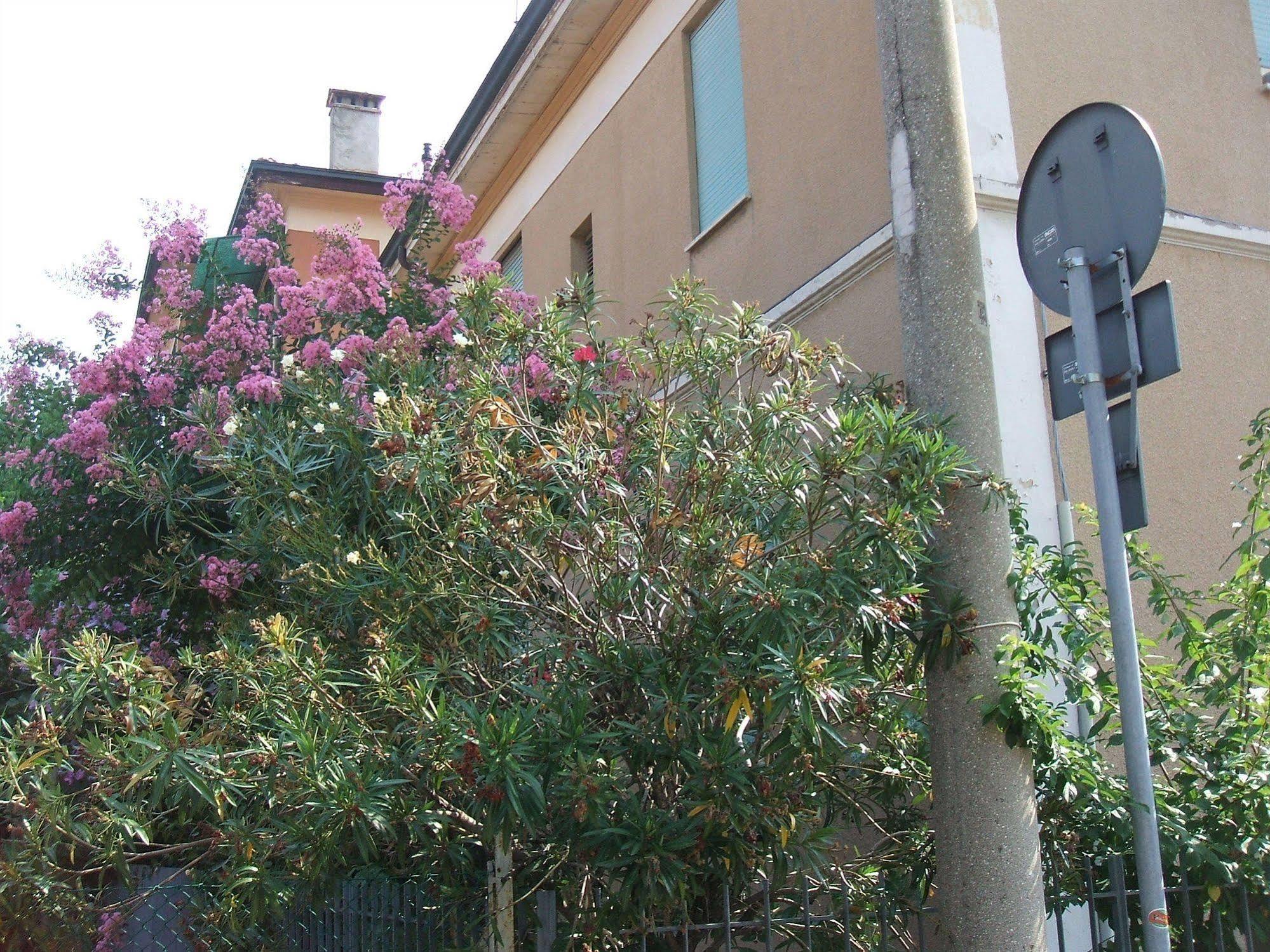 B&B Accorsi Bologna Kültér fotó